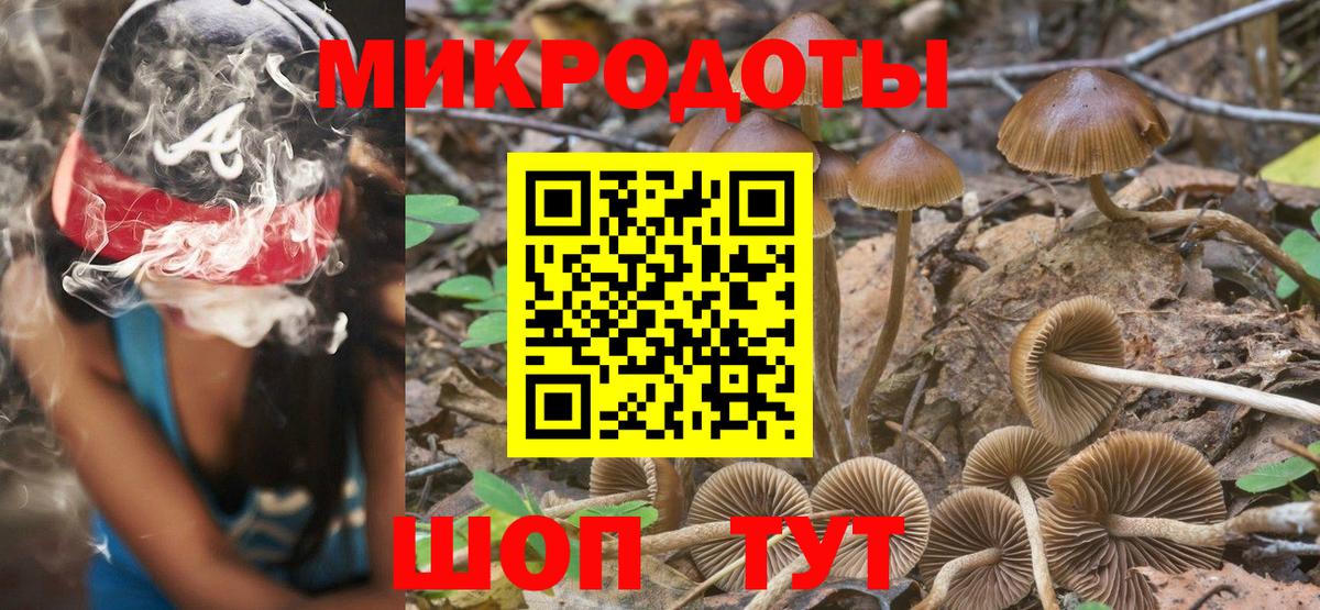 Псилоцибиновые грибы GOLDEN TEACHER Карпинск