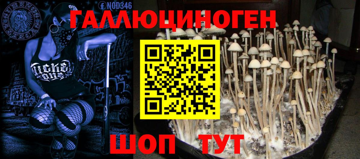 Карпинск  Псилоцибиновые грибы ЛСД  Галлюциногенные грибы Psilocybine cubensis  Вход с VPN 